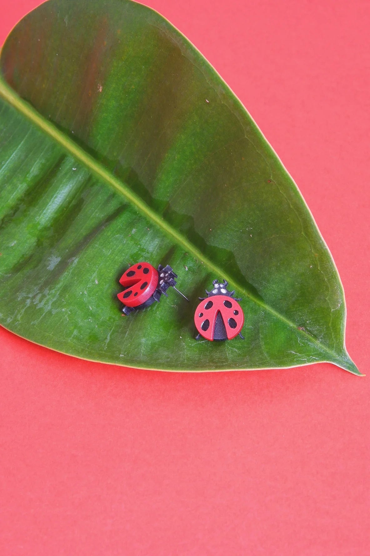 Ladybug Earrings