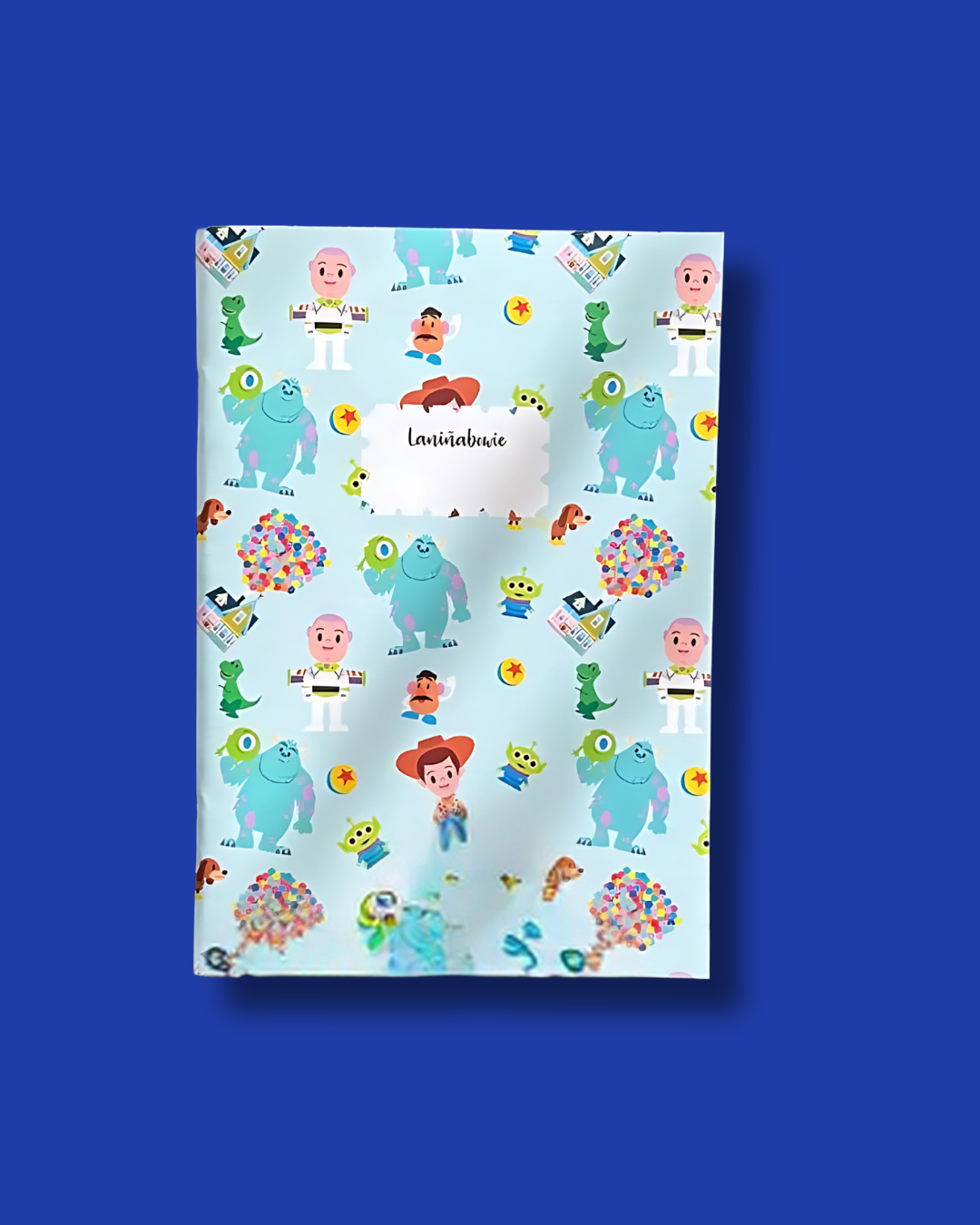 Libreta Woody, Sulley & Co