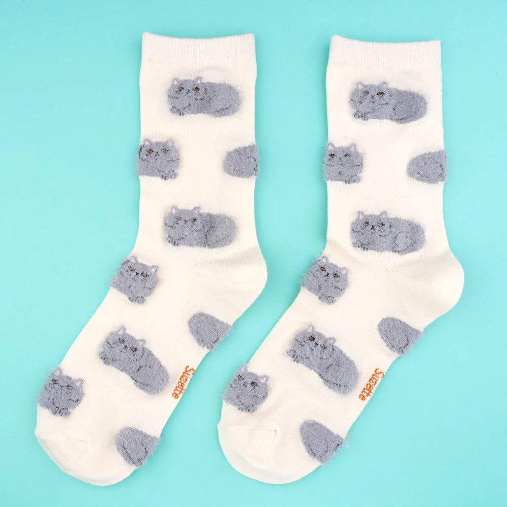 White socks Gray cats