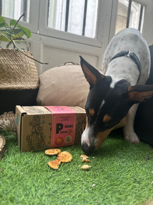 Snack Mini Pizzas para perros 🐶