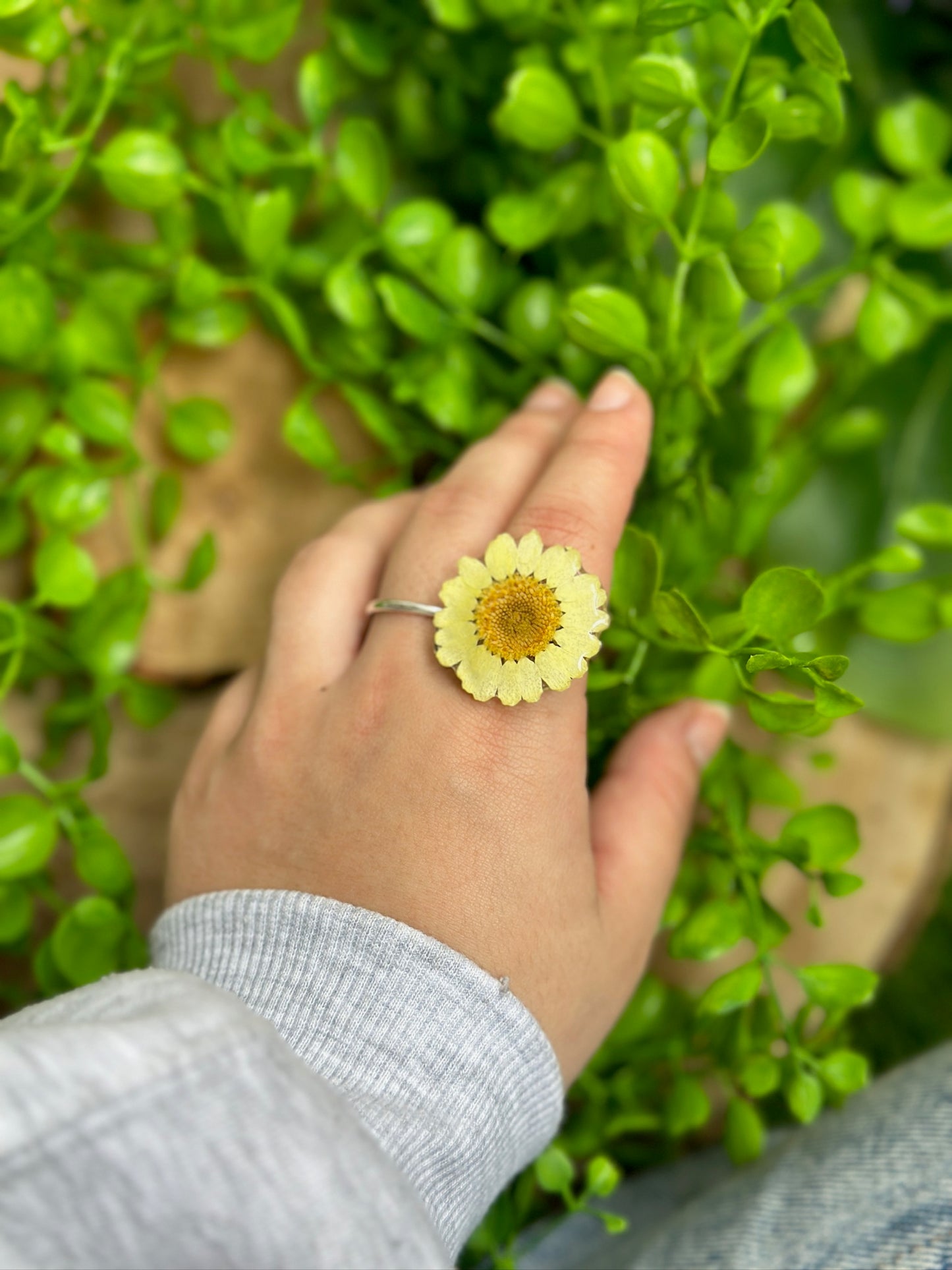 Yellow Daisy Flower Ring