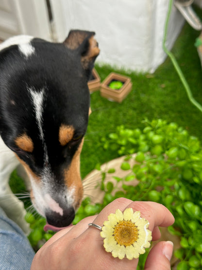 Yellow Daisy Flower Ring