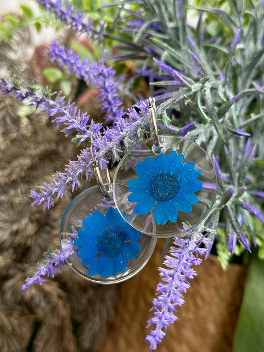 Blue Encapsulated Daisies Earrings