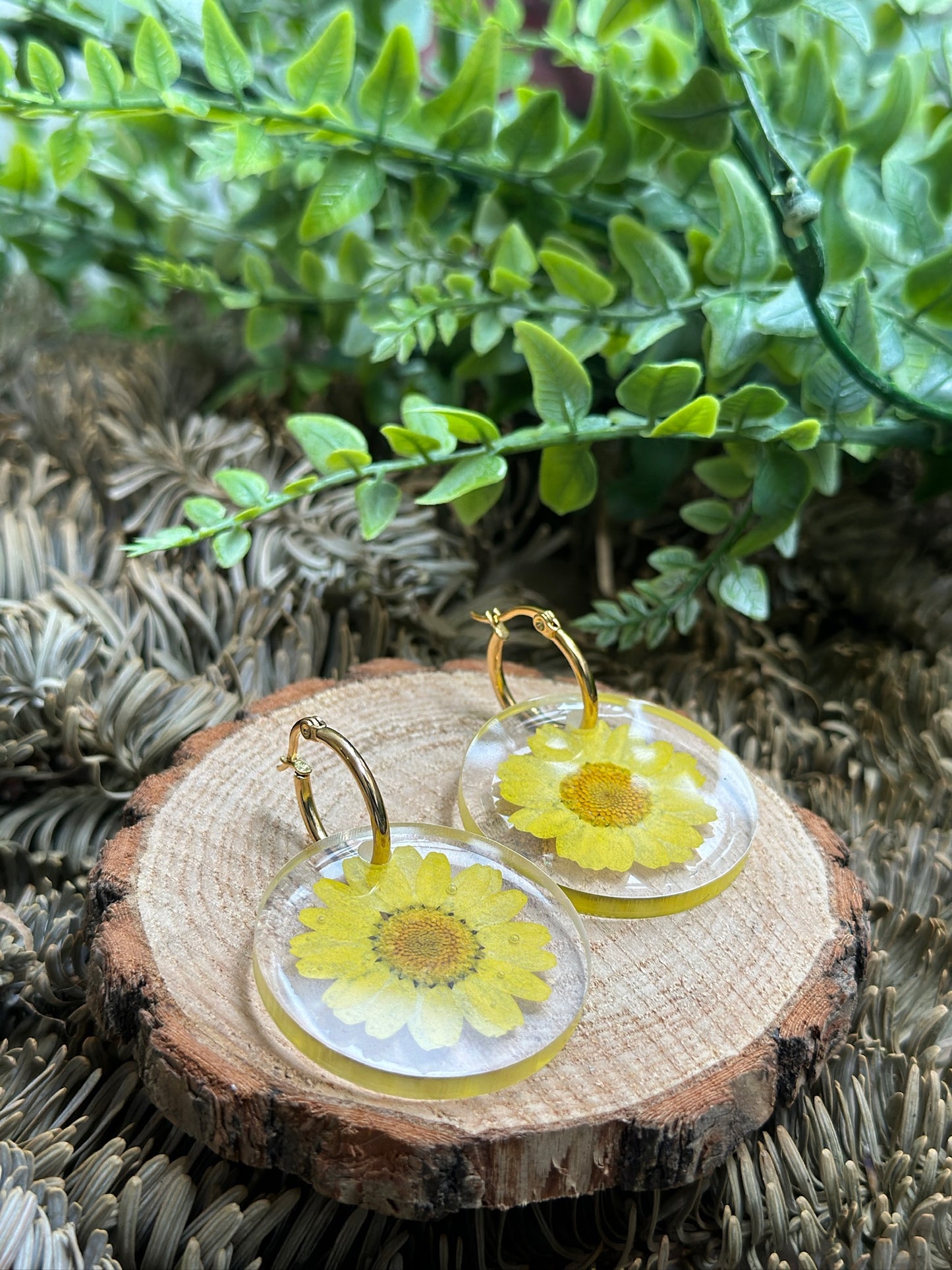 Yellow Encapsulated Daisies Earrings