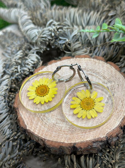 Yellow Encapsulated Daisies Earrings