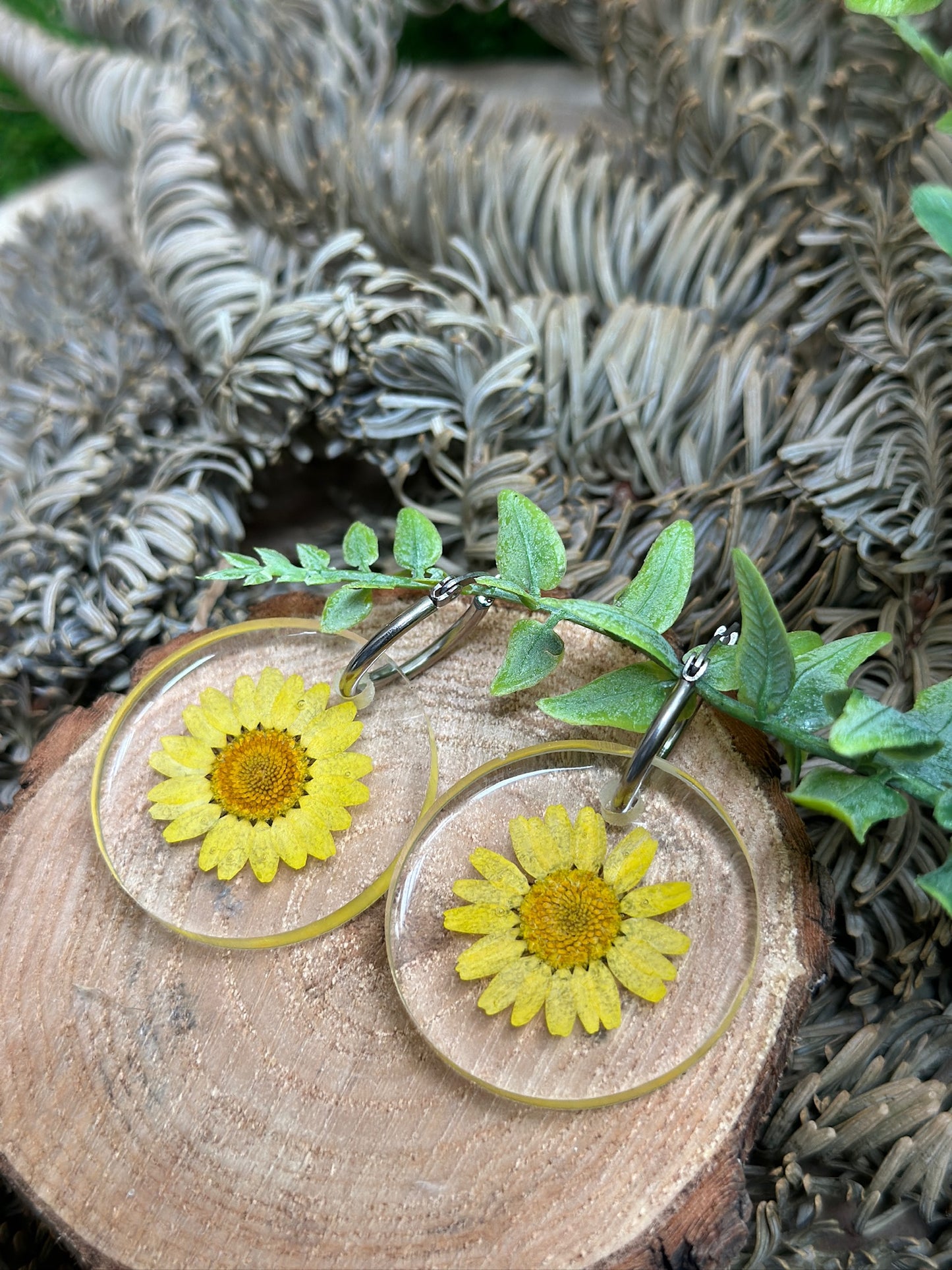 Yellow Encapsulated Daisies Earrings