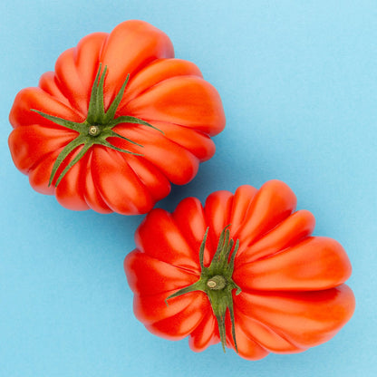 Mini huerto de tomates