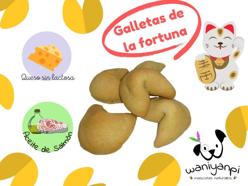 Fortune Cookies Snack for Dogs 🐶